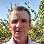  ,   , 68 ,   ,   