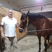 ���������� ���������, ������� ��� ��������, 48