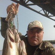  ,   , 48 ,  