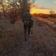 ���������� ������, ���� ������� ����, 43 ����, ������������ ��� ������, ����� � ���������, c�������� ���������, ���������