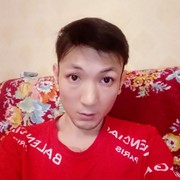 ���������� �������, ���� ������� Sardor, 36 ���, ������������ ��� ������, ����� � ���������, c�������� ���������, ���������