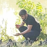  ,   , 31 ,   ,   