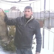  ,   , 41 ,   ,   