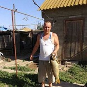 ���������� ���������, ���� ������� ����, 40 ���, ������������ ��� c�������� ���������