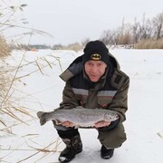  ,   , 41 ,   ,   , c 