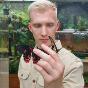  -,   Vlad, 26 ,   ,   , 