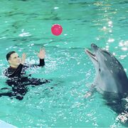 ���������� ������, ���� ������� ������, 28 ���, ������������ ��� ������, ����� � ���������, c�������� ���������, ���������