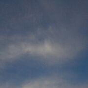 ���������� �����, ���� ������� Nikolas, 29 ���, ������������ ��� ������, ����� � ���������