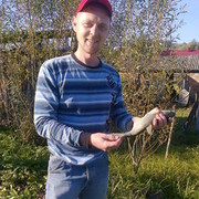 ���������� ��������, ���� ������� �����, 40 ���, ������������ 