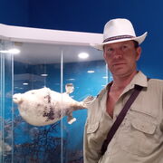  ,   Alexander, 42 ,     , c 