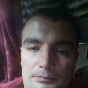 ���������� ������, ���� ������� Navruz, 40 ���, ������������ ��� ������, ����� � ���������, c�������� ���������