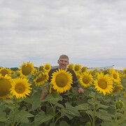 ���������� �������, ���� ������� �����, 55 ���, ������������ ��� ������, ����� � ���������