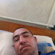  ,   , 44 ,  