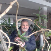 ,   , 63 ,   