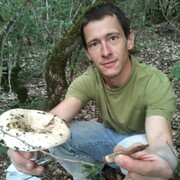 ���������� �����������, ���� ������� �������, 42 ����, ������������ ��� ����� � ���������, c�������� ���������