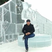 ���������� �����-���������, ���� ������� SAFARALI, 36 ���, ������������ ��� ������, ����� � ���������, c�������� ���������