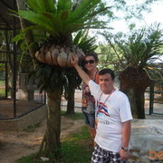 ���������� ������, ���� ������� Dmitriy, 56 ���, ������������ ��� ������, ���������