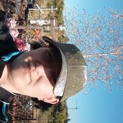 ���������� �������, ���� ������� �������, 34 ����, ������������ ��� ������, ����� � ���������, c�������� ���������