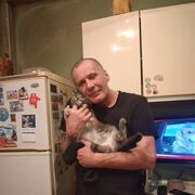 ���������� �����-���������, ���� ������� ��������, 60 ���, ������������ ��� ������, ����� � ���������, c�������� ���������