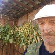  ,   , 55 ,   ,   