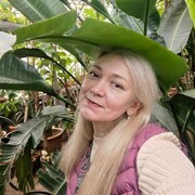 ,   , 49 ,   c 