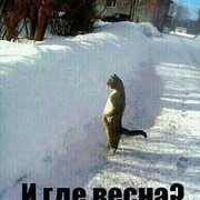 ���������� ������, ���� ������� ���, 50 ���, ������������ ��� ������, ����� � ���������, c�������� ���������