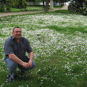  -,   , 60 ,   ,   , c 