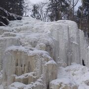 ���������� �����, ���� ������� ������, 40 ���, ������������ ��� ����� � ���������, c�������� ���������