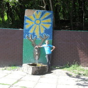  ,   , 54 ,   ,   , c 