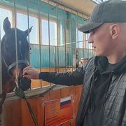 ���������� �����, ���� ������� ������, 38 ���, ������������ ��� ������, ����� � ���������