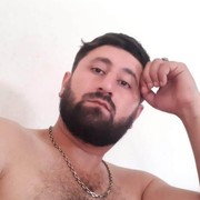 ���������� ����, ���� ������� Woolf, 27 ���, ������������ ��� ������, ����� � ���������, c�������� ���������