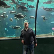 ���������� ������, ���� ������� �������, 53 ����, ������������ ��� ������, ����� � ���������, c�������� ���������, ���������