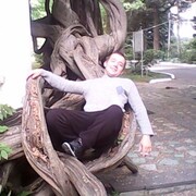 ���������� �����, ���� ������� ����, 40 ���, ������������ 