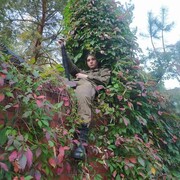 ���������� ���������� �����, ���� ����� �����, 22 ����, ������������ ��� ����� � ���������, c�������� ���������