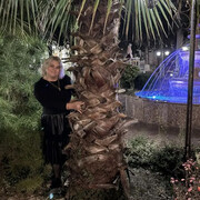 ���������� ���������, ���� ������� ����, 58 ���, ������������ ��� c�������� ���������