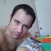  ,   , 41 ,   