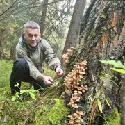 ���������� �������, ���� ������� Vyacheslav, 42 ����, ������������ ��� ������, ����� � ���������, c�������� ���������, ���������