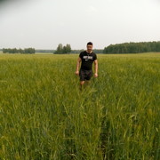 ���������� �����, ���� ������� �������, 36 ���, ������������ ��� ������, ����� � ���������, c�������� ���������