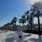 ���������� ����-�������, ���� ����� ����, 23 ����, ������������ ��� ������, ����� � ���������