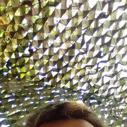  ,   , 52 ,   ,   , c 