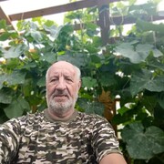  ,  Vova, 62