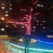 ���������� ���������, ���� ������� ������, 36 ���, ������������ ��� ������, ����� � ���������