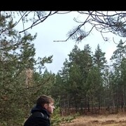  -,   , 28 ,   ,   