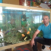  ,   Harut, 37 ,  