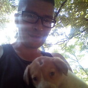 ���������� ���������, ���� ������� ����, 43 ����, ������������ ��� ������, ����� � ���������, c�������� ���������