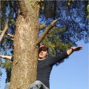 ���������� ��������, ���� ������� ����������, 42 ����, ������������ ��� ������, ����� � ���������, c�������� ���������, ���������