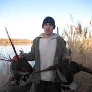 ���������� �������, ���� ������� �������, 36 ���, ������������ ��� ������, ����� � ���������, c�������� ���������