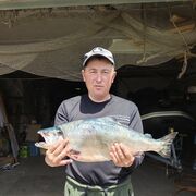 ���������� ������� ������, ���� ������� �������, 49 ���, ������������ ��� ������, ����� � ���������, c�������� ���������