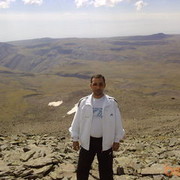  ,   ARM098232200, 49 ,   