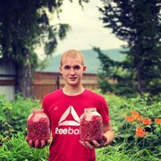 ���������� ����������, ���� ����� ����, 22 ����, ������������ ��� ������, ����� � ���������